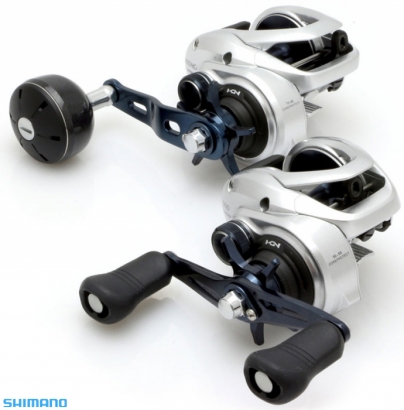 Shimano Tranx 300A in the group Reels / Baitcasting Reels / Low Profile Reels at Sportfiskeprylar.se (100022NO)