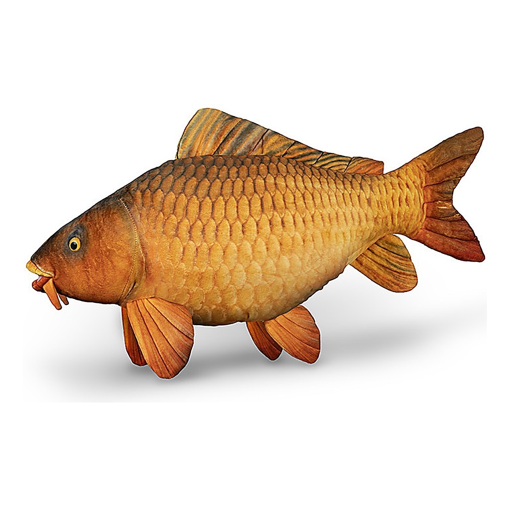 Delphin Plush Carp - 60 cm in the group Other / Soft Fish Toys & Trophy Fish at Sportfiskeprylar.se (101006075)