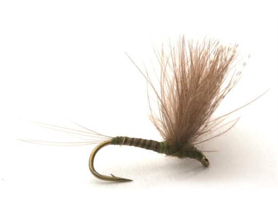 Guideline CDC Biot Comparadun Olive # 14 in the group Lures / Flies / Dry Flies at Sportfiskeprylar.se (101133GL)