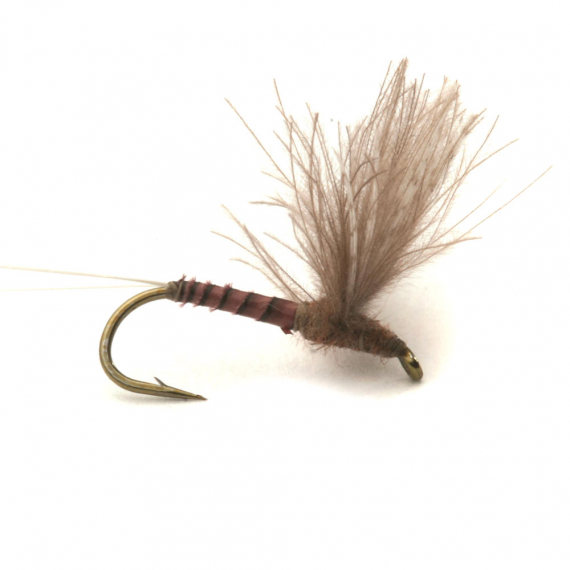 CDC Biot Comparadun Quill G #14 in the group Lures / Flies / Dry Flies at Sportfiskeprylar.se (101136GL)