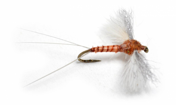 CDC Biot Spinner Rusty in the group Lures / Flies / Dry Flies at Sportfiskeprylar.se (101140GLr)