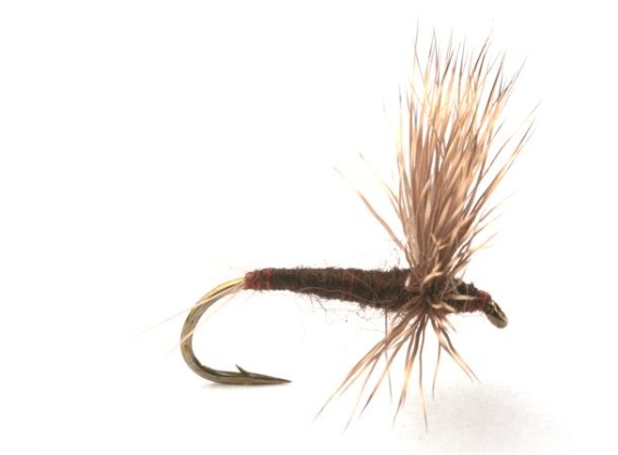 Guideline Comparadun Lepto # 14 in the group Lures / Flies / Dry Flies at Sportfiskeprylar.se (101149GL)