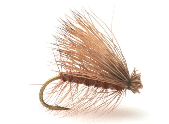 Guideline Elk Caddis Brown in the group Lures / Flies / Dry Flies at Sportfiskeprylar.se (101177GLr)
