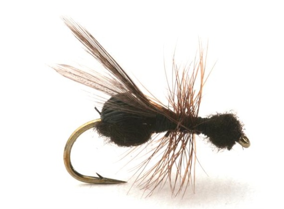 Guideline Flying Ant / Myra Black # 12 in the group Lures / Flies / Dry Flies at Sportfiskeprylar.se (101213GL)