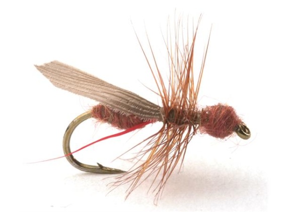 Guideline Flying Ant / Myra Cinnamon # 12 in the group Lures / Flies / Dry Flies at Sportfiskeprylar.se (101216GL)