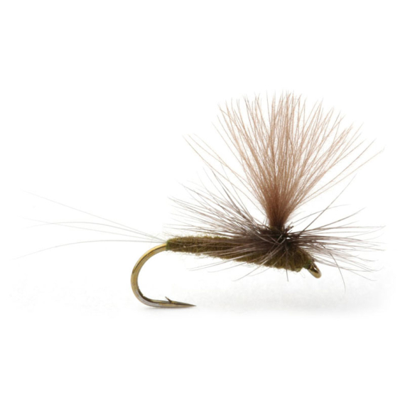 Baetis Dark Olive - 14