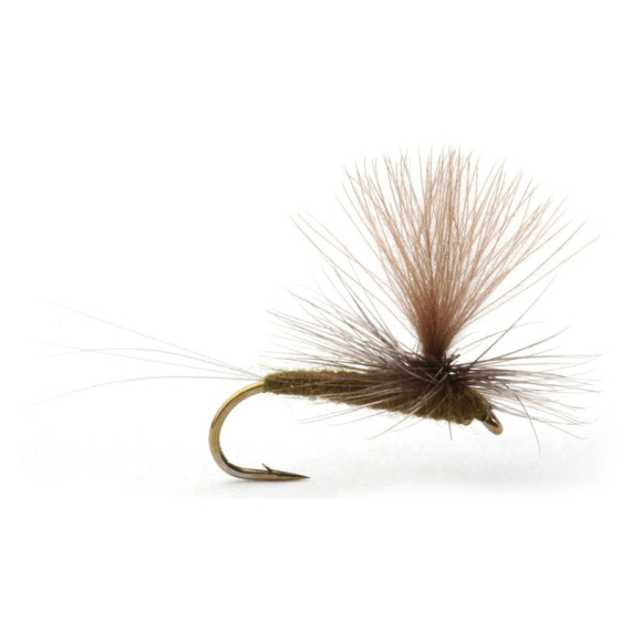 Guideline Baetis Dark Olive