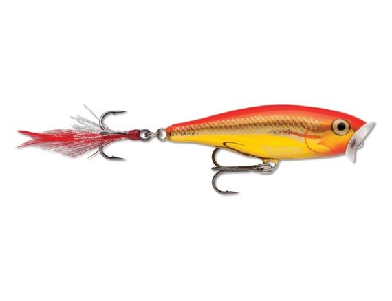 Rapala Skitter Pop 5cm SGFR in the group Lures / Topwater Lures at Sportfiskeprylar.se (102091NO)
