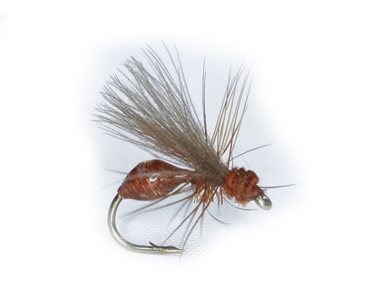 RS Glue Ant Rusty Brown #14 in the group Lures / Flies / Dry Flies at Sportfiskeprylar.se (104794GL)
