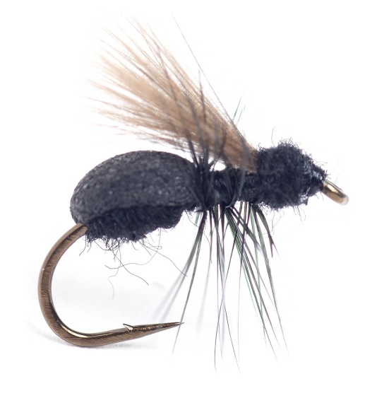 Guideline Lasius Flying Ant #14 in the group Lures / Flies / Dry Flies at Sportfiskeprylar.se (107164GL)