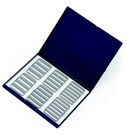 C&F System File for Large System Case (FFS-10-L) in the group Storage / Tackle Boxes / Flyboxes at Sportfiskeprylar.se (1100112)