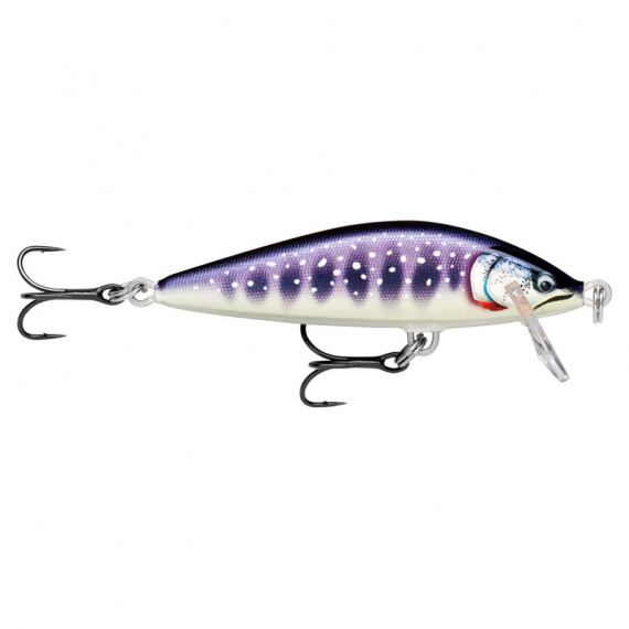 Rapala CountDown Elite 5,5cm GDIW in the group Lures / Crankbaits / Shallow Diving Crankbaits at Sportfiskeprylar.se (126555NO)