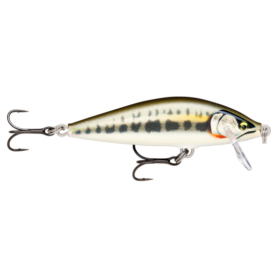 Rapala CountDown Elite 5,5cm - GDMN in the group Fishing methods at Sportfiskeprylar.se (126556NO)