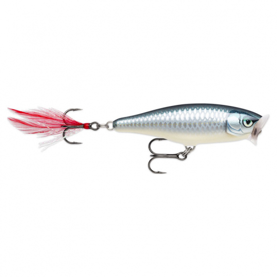 Rapala Skitter Pop 7cm - BAP in the group Lures / Topwater Lures at Sportfiskeprylar.se (135809NO)