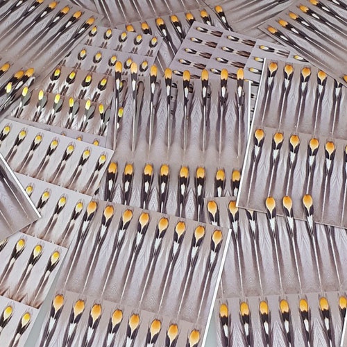 FutureFly Artificial Jungle Cock in the group Hooks & Terminal Tackle / Fly Tying / Fly Tying Material / Eyes at Sportfiskeprylar.se (1465-001r)