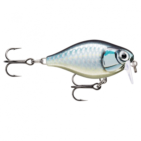 Rapala X-Light Crank Shallow Runner in the group Lures / Crankbaits / Shallow Diving Crankbaits at Sportfiskeprylar.se (146501NOr)