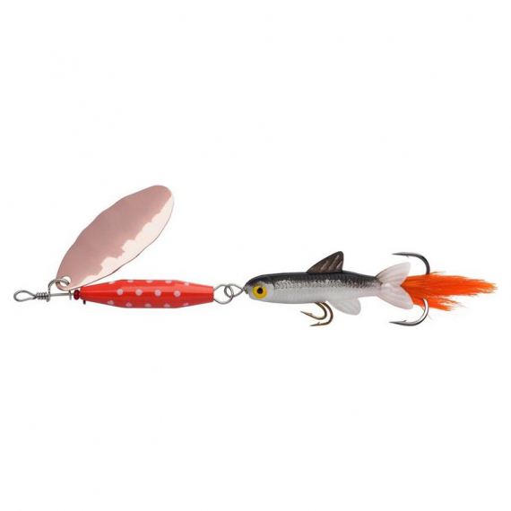 Abu Garcia Reflex Fish in the group Lures / Inline Spinners at Sportfiskeprylar.se (1549939r)