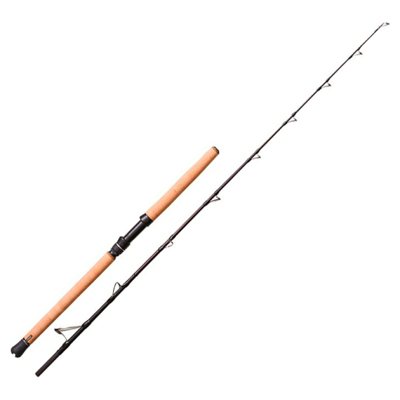 Savage Gear Fury SG6 Halibut 6\'5\'\'/1.95m 40-60Lb 250-700g 2pc in the group Rods / Casting Rods at Sportfiskeprylar.se (1601713)