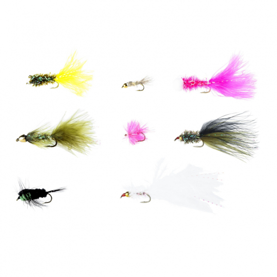 Pool 12 Flies for Rainbow Trout in the group Lures / Flies / Fly Kits at Sportfiskeprylar.se (20178973)