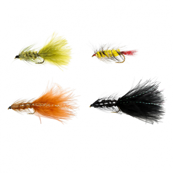 Pool 12 Wolly Bugger (4pcs) in the group Lures / Flies / Fly Kits at Sportfiskeprylar.se (20198997)