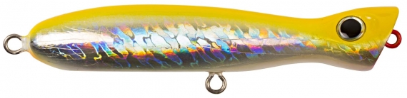 Bottle Neck Popper - 15cm - Wild One in the group Lures / Sea Fishing Lures / Saltwater Big Game at Sportfiskeprylar.se (29-WD032B-SM44)