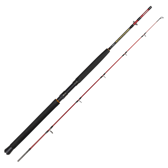 Daiwa Seahunter Spin in the group Rods / Sea Fishing Rods / Boat Rods at Sportfiskeprylar.se (32-222125r)