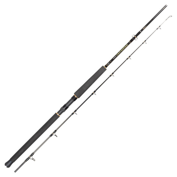 Daiwa Super Kenzaki Spin in the group Rods / Sea Fishing Rods / Boat Rods at Sportfiskeprylar.se (32-222529r)