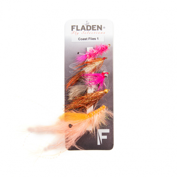 Fladen Maxximus Flies 5-pack Coast 1 in the group Lures / Flies / Fly Kits at Sportfiskeprylar.se (34-2002)