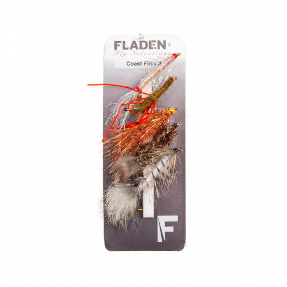 Fladen Maxximus Flies 5-pack Coast 3 in the group Lures / Flies / Fly Kits at Sportfiskeprylar.se (34-2004)