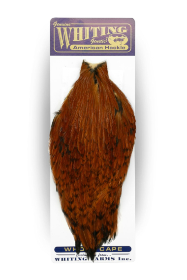 Whiting American Rooster Cape in the group Hooks & Terminal Tackle / Fly Tying / Fly Tying Material / Feathers & Capes / Capes & Saddles at Sportfiskeprylar.se (41801008r)