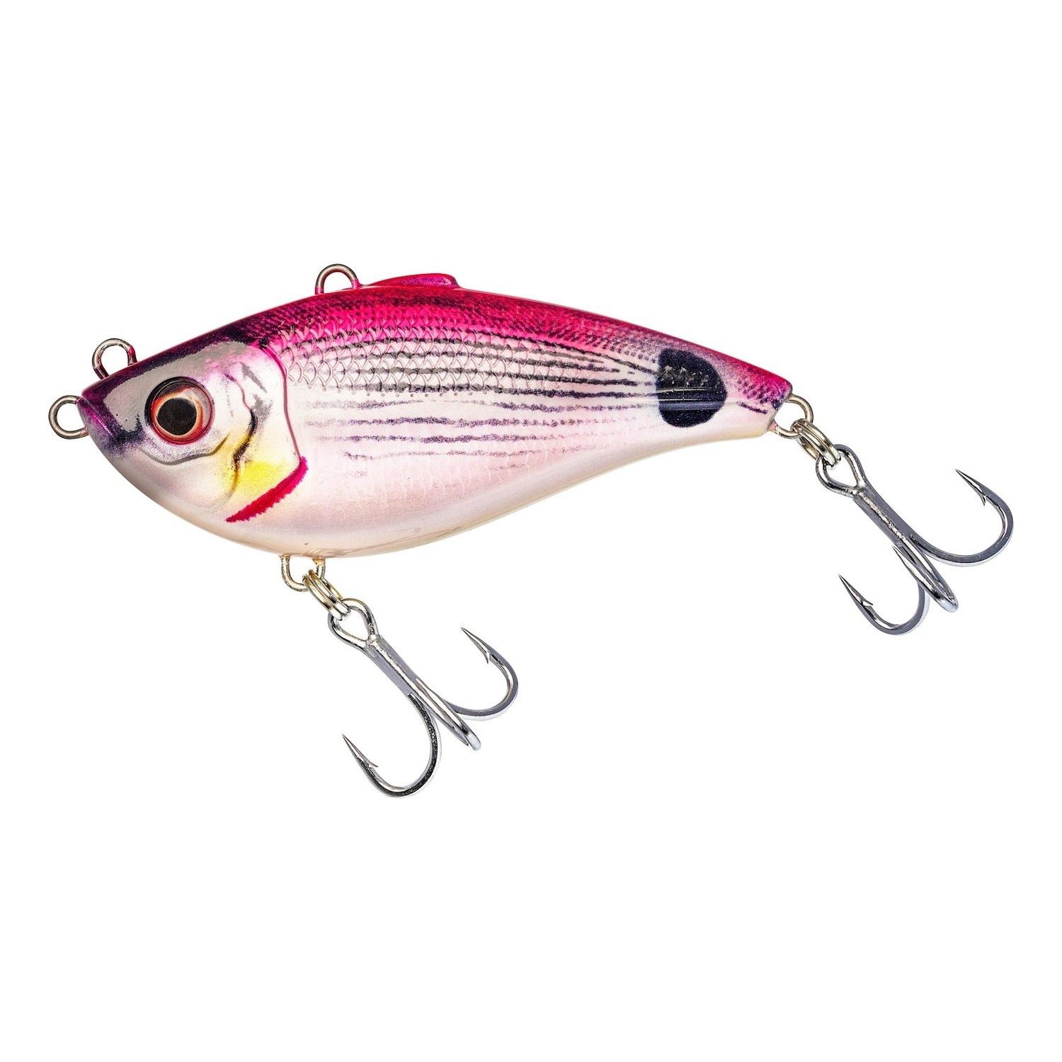 Westin Buzzvibe in the group at Sportfiskeprylar.se (5000135553DOr)