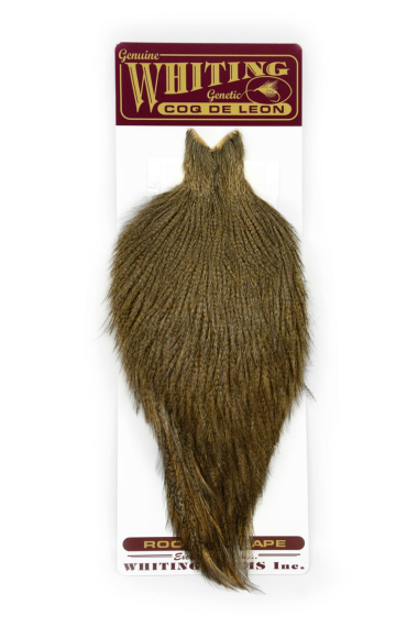 Whiting Coq de Leon Cape in the group Hooks & Terminal Tackle / Fly Tying / Fly Tying Material / Feathers & Capes / Capes & Saddles at Sportfiskeprylar.se (51801042r)
