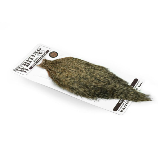 Whiting Bronze Spey Hackle Cape Grizzly dyed Salmon in the group Hooks & Terminal Tackle / Fly Tying / Fly Tying Material / Feathers & Capes / Capes & Saddles at Sportfiskeprylar.se (61301102)