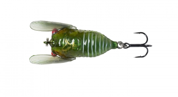 Savage Gear 3D Cicada 33mm 3,5g Floating, Green in the group Lures / Topwater Lures at Sportfiskeprylar.se (61989)