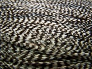 Whiting High & Dry Hackle Cape