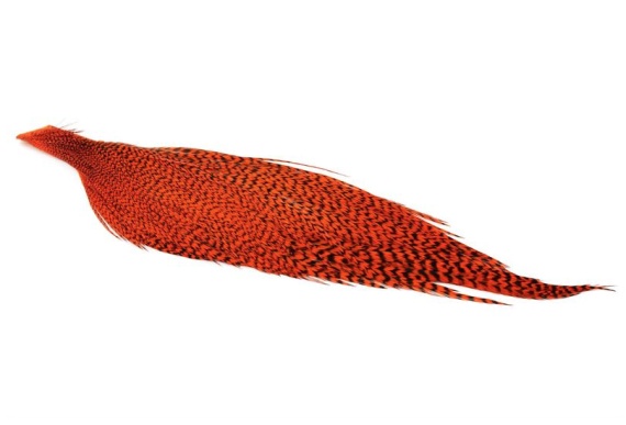 Whiting High & Dry Hackle 1/2 Cape - GD/Orange in the group Hooks & Terminal Tackle / Fly Tying / Fly Tying Material / Feathers & Capes / Capes & Saddles at Sportfiskeprylar.se (71841151)