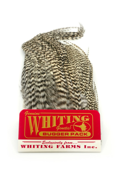 Whiting Bugger Pack Grizzly in the group Hooks & Terminal Tackle / Fly Tying / Fly Tying Material / Feathers & Capes / Other Feathers at Sportfiskeprylar.se (91871001)