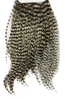 Whiting Bugger Pack in the group Hooks & Terminal Tackle / Fly Tying / Fly Tying Material / Feathers & Capes / Capes & Saddles at Sportfiskeprylar.se (91871734r)