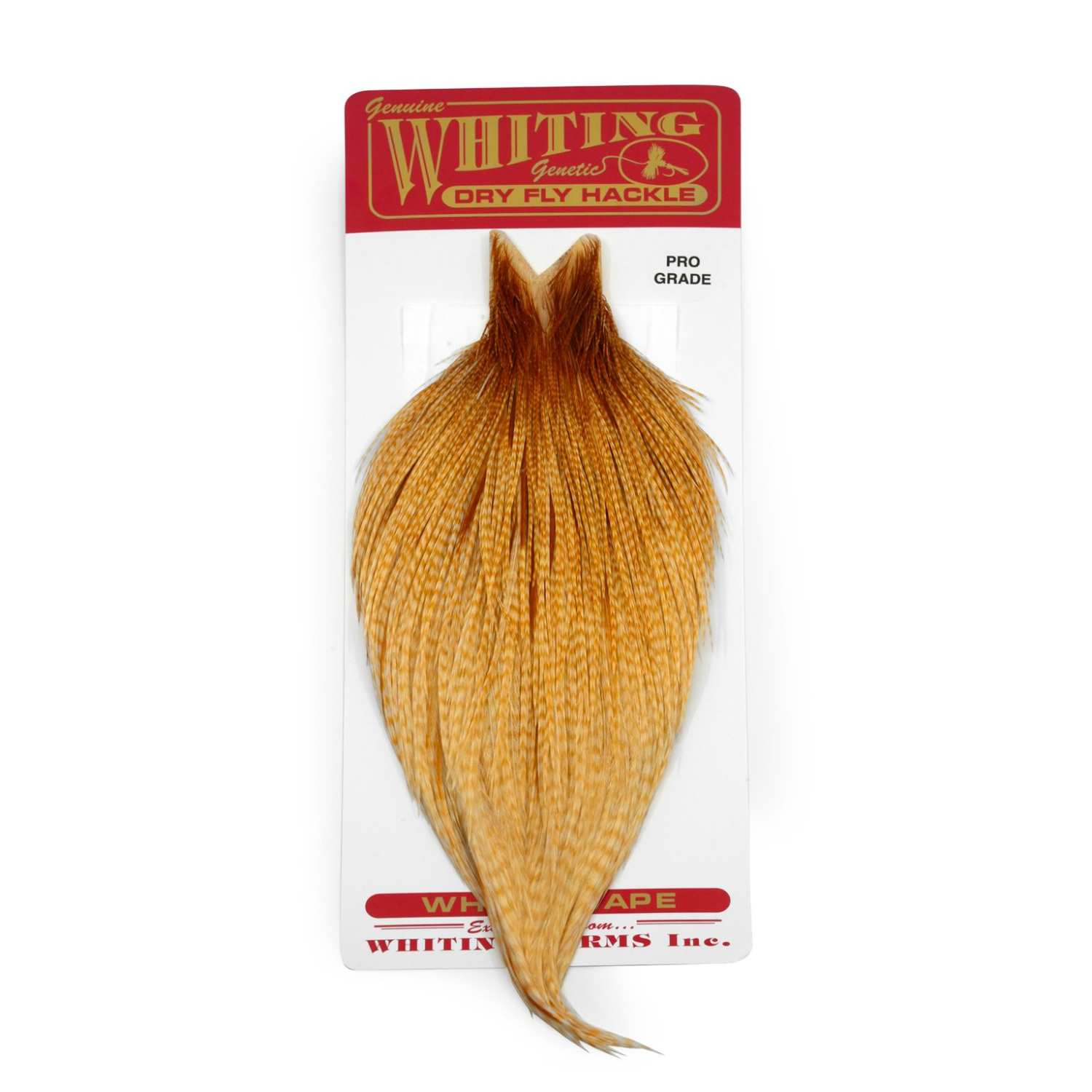 Whiting Pro Grade Rooster Cape in the group Hooks & Terminal Tackle / Fly Tying / Fly Tying Material / Feathers & Capes / Capes & Saddles at Sportfiskeprylar.se (95501007r)