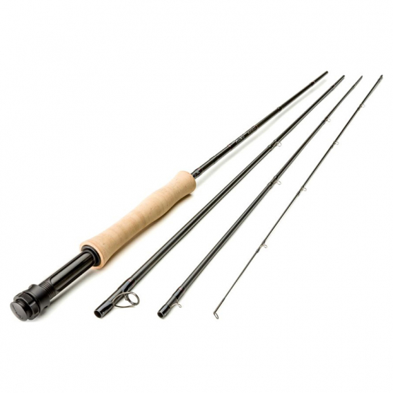 Scott Centric 10\'0\'\' 4wt 4pc in the group Rods / Flyfishing Rods / Single Handed Fly Rods at Sportfiskeprylar.se (C10044)