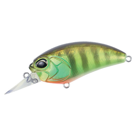 DUO Realis Crank M62 5A - Chart Gill Halo in the group Lures / Crankbaits / Shallow Diving Crankbaits at Sportfiskeprylar.se (CM625AAJA3055)