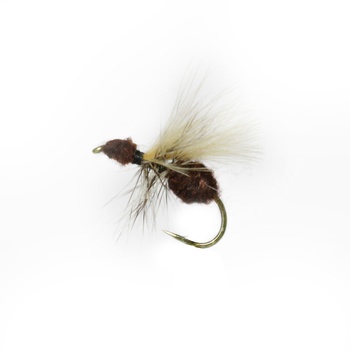 CDC Ant Rusty Brown in the group Lures / Flies / Dry Flies at Sportfiskeprylar.se (F30-1012-10r)
