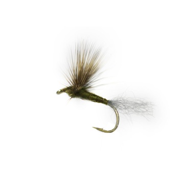 Comparadun BWO in the group Lures / Flies / Dry Flies at Sportfiskeprylar.se (F30-1015-10r)