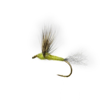 Comparadun Light Olive in the group Lures / Flies / Dry Flies at Sportfiskeprylar.se (F30-1016-10r)