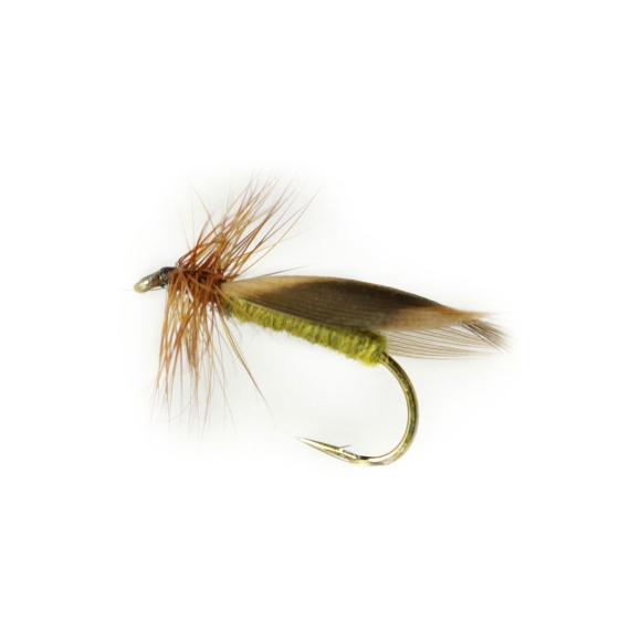 Europa 12 Olive in the group Lures / Flies / Dry Flies at Sportfiskeprylar.se (F30-1044-14r)