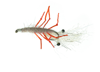 Honey Shrimp Hot Leg Daiichi 1710 #6 in the group Lures / Flies / Shore Flies at Sportfiskeprylar.se (FL12026)
