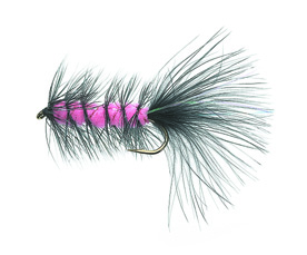 Flash a\' Bugger Fluo Pink Daiichi 2220 #8 in the group Lures / Flies / Streamers at Sportfiskeprylar.se (FL20018)