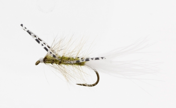 X-Fly Olive Kamasan B170 #6 in the group Lures / Flies / Streamers at Sportfiskeprylar.se (FL22049)