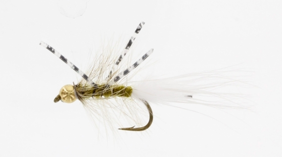X-Fly Goldhead Olive Kamasan B170 #6 in the group Lures / Flies / Streamers at Sportfiskeprylar.se (FL22050)