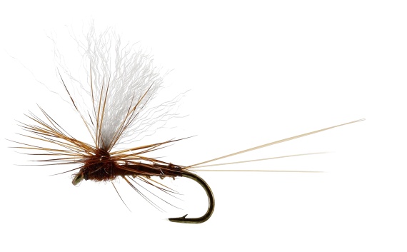 Vespertina Dun Biot Brown TMC100 in the group Fishing methods / Fly Fishing / Flies / Dry Flies at Sportfiskeprylar.se (FL32115r)